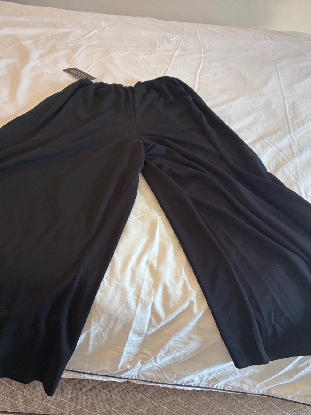 Palazzo pants